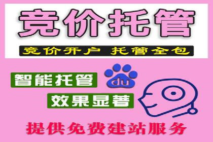 竞价账户优化：成功企业的广告策略揭秘
